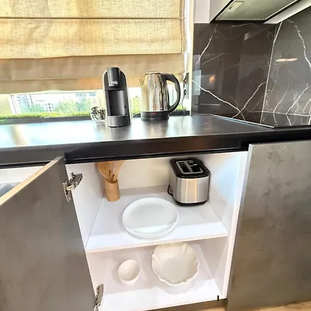Apartament Rentnow Cozy Lev Tolstoi 43b With Balcony Chisinau
